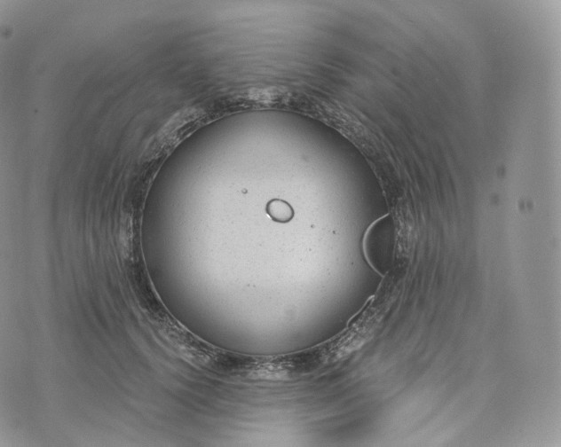 X0000072960656200608111652