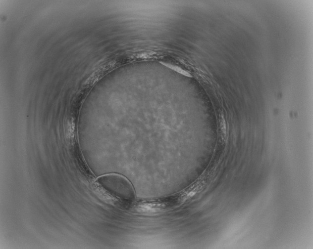 X0000072960657200608111652