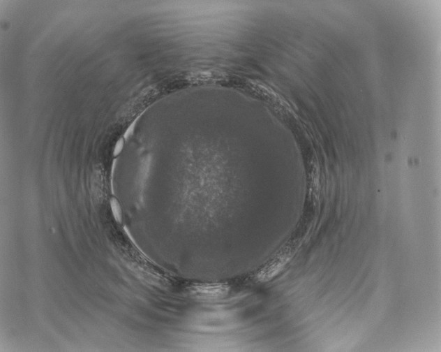 X0000072960659200608111652