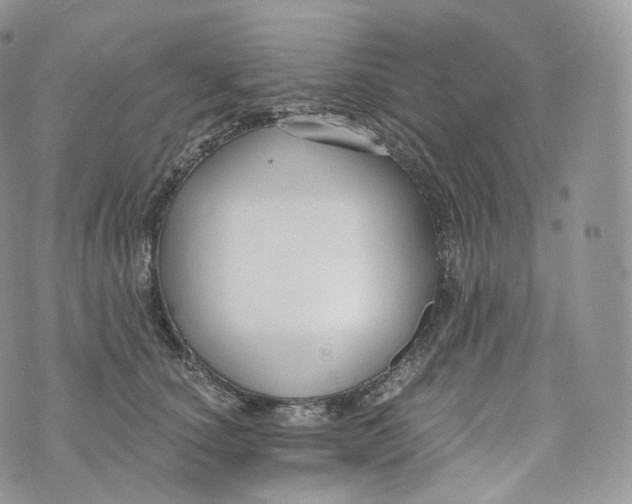 X0000072960660200608111652