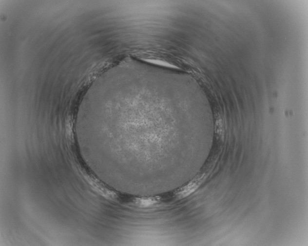 X0000072960662200608111652