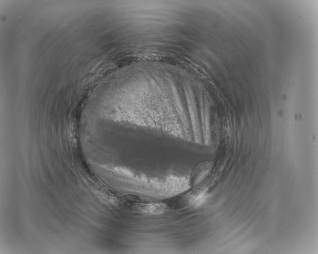 X0000072960663200608111652