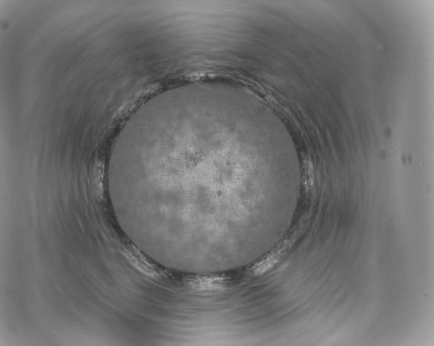 X0000072960664200608111652