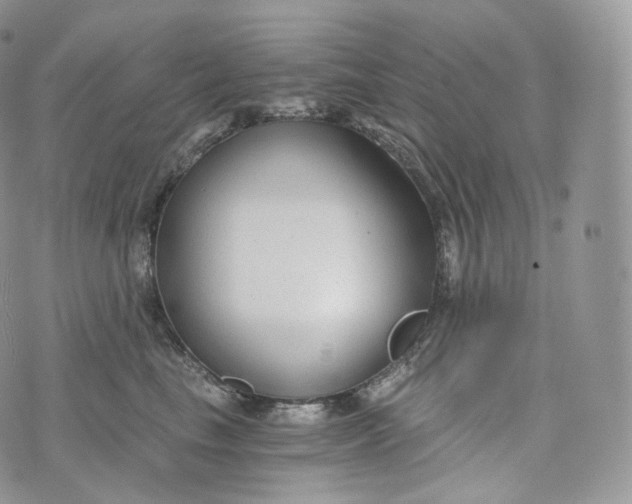 X0000072960665200608111652