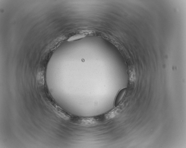 X0000072960666200608111652