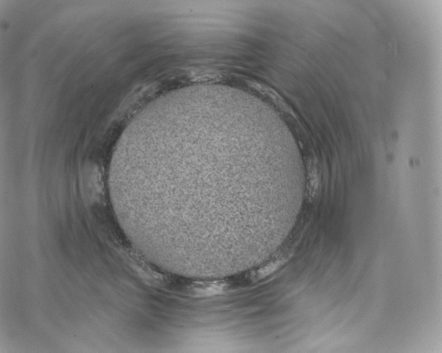 X0000072960667200608111652