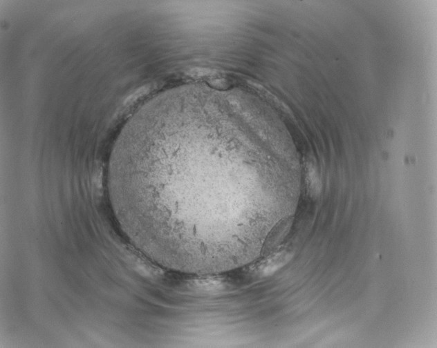 X0000072960668200608111652