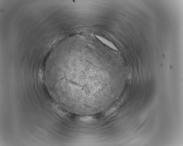 X0000072960669200608111652