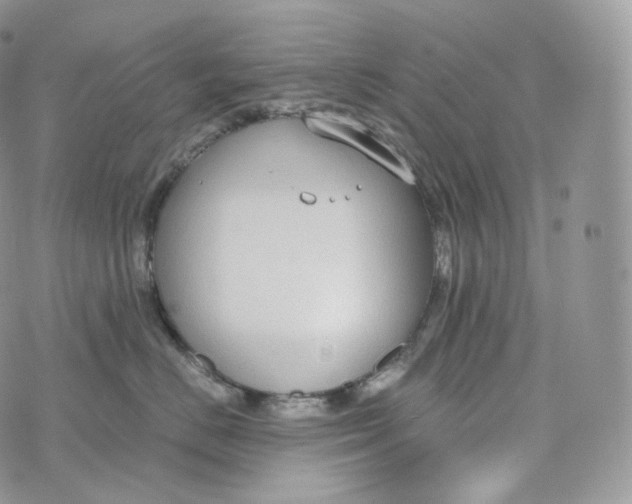 X0000072960670200608111652