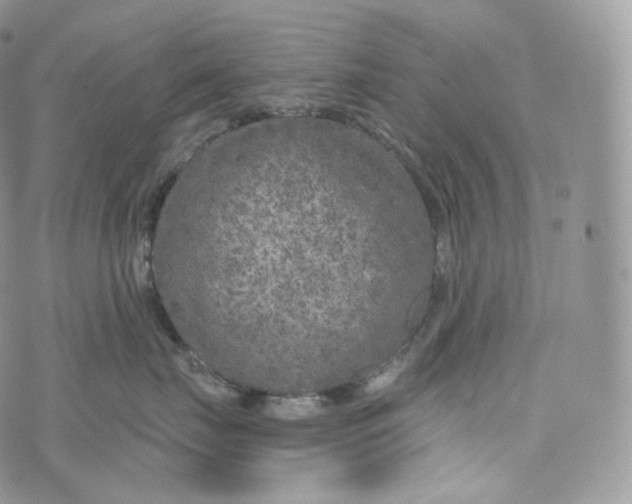 X0000072960671200608111652