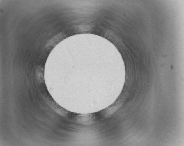 X0000072960672200608111652