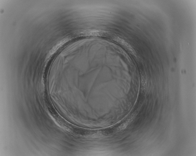 X0000072960674200608111651