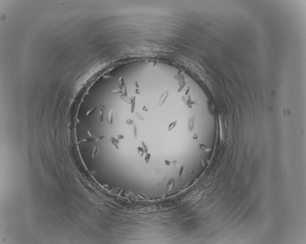 X0000072960675200608111651