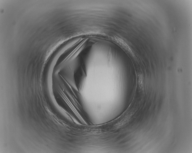 X0000072960676200608111651