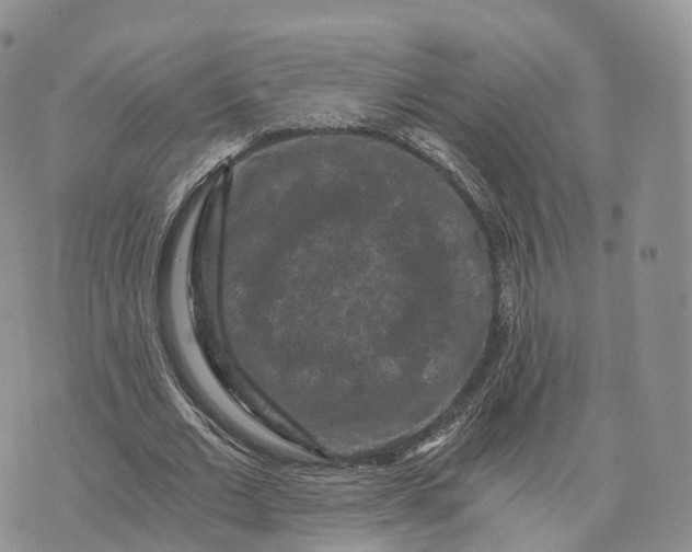 X0000072960677200608111651