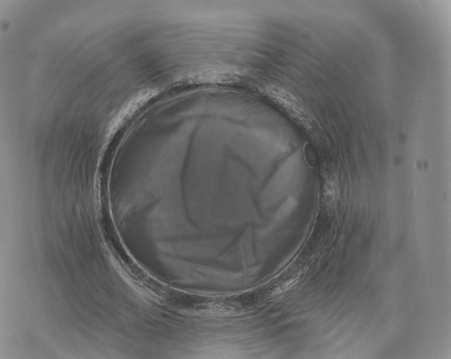 X0000072960678200608111651