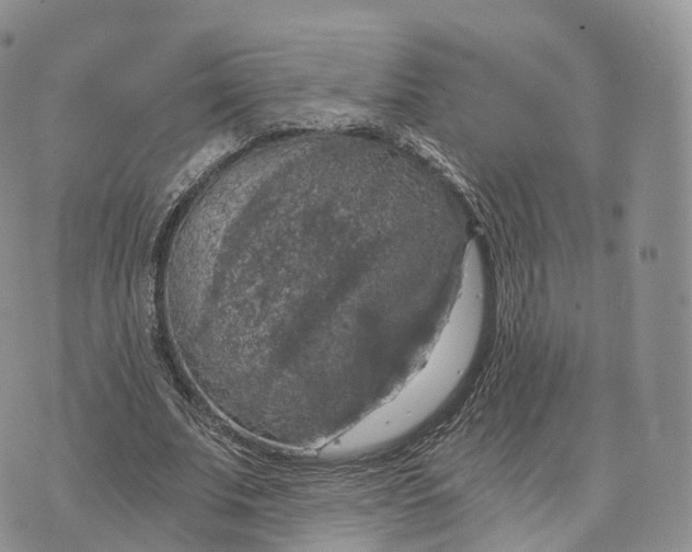 X0000072960679200608111651