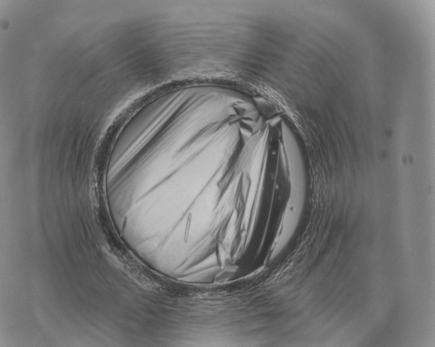 X0000072960680200608111651