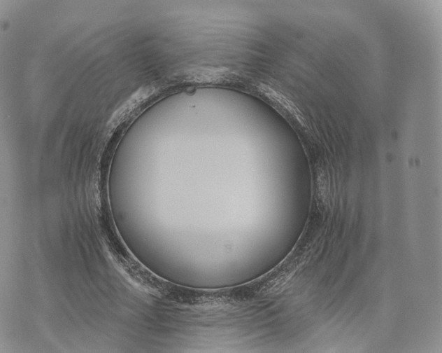 X0000072960682200608111651