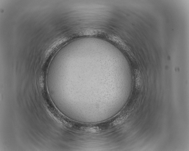 X0000072960683200608111651