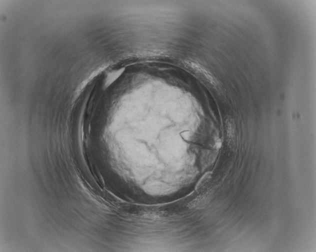 X0000072960684200608111651