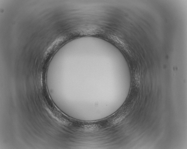 X0000072960686200608111651