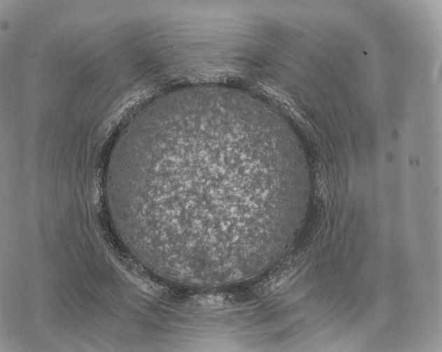 X0000072960687200608111651