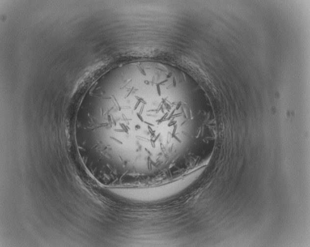 X0000072960688200608111651