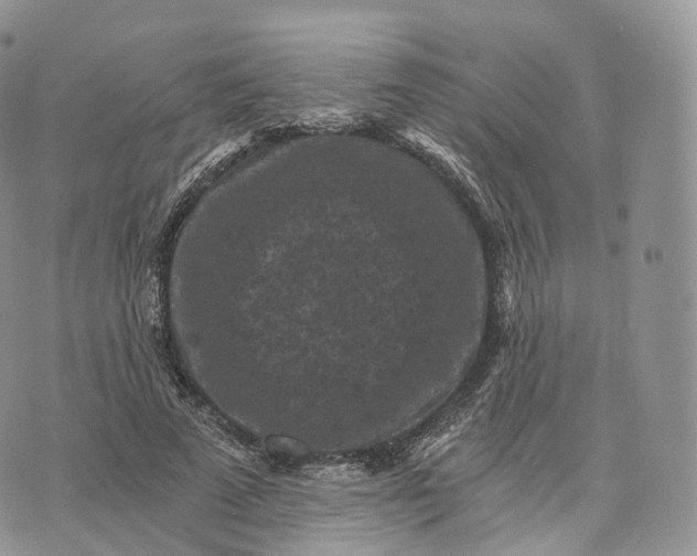 X0000072960689200608111651