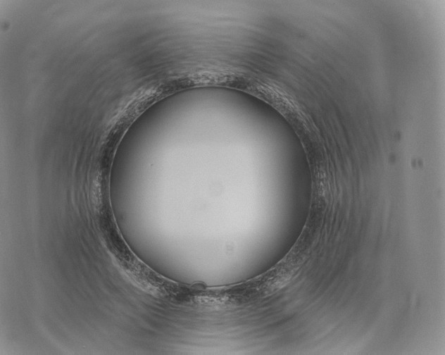 X0000072960690200608111651