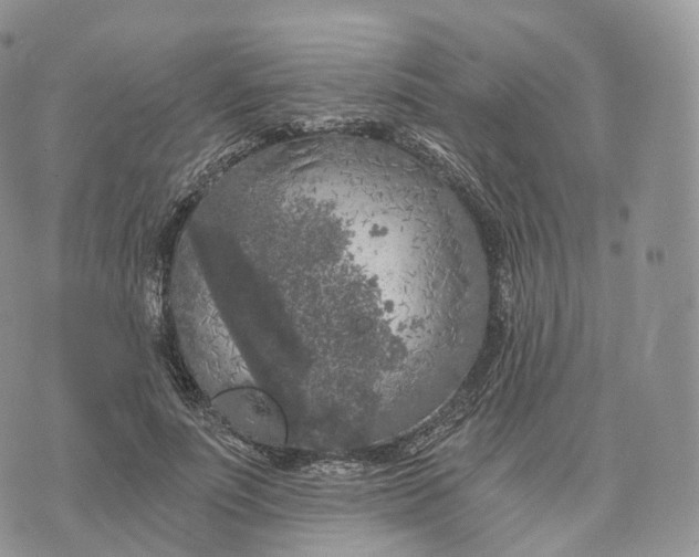 X0000072960691200608111651