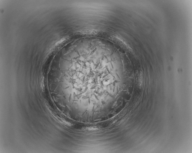 X0000072960692200608111651