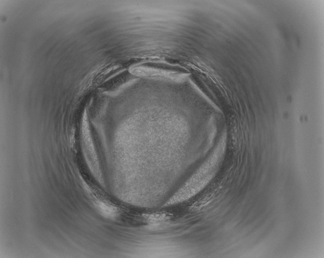 X0000072960693200608111651