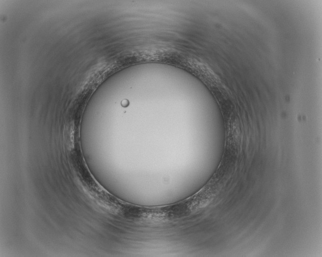 X0000072960694200608111651