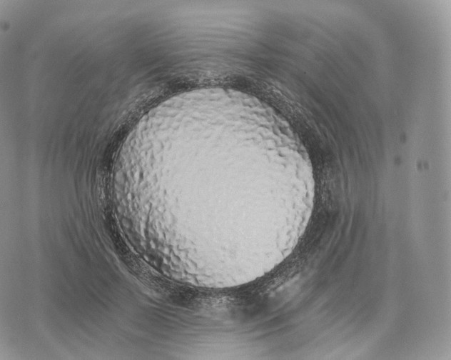 X0000072960695200608111651