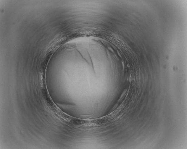 X0000072960696200608111651