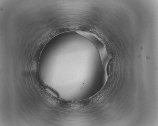 X0000072960697200608111651