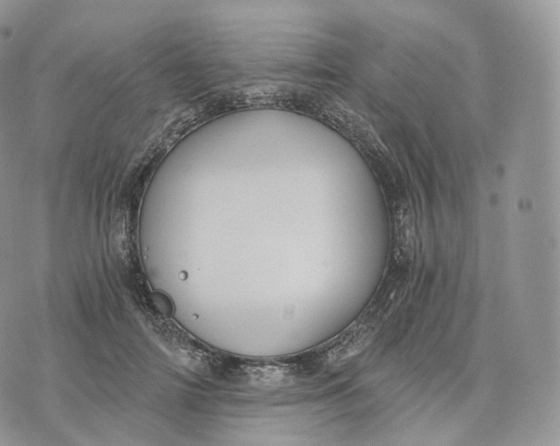 X0000072960698200608111651