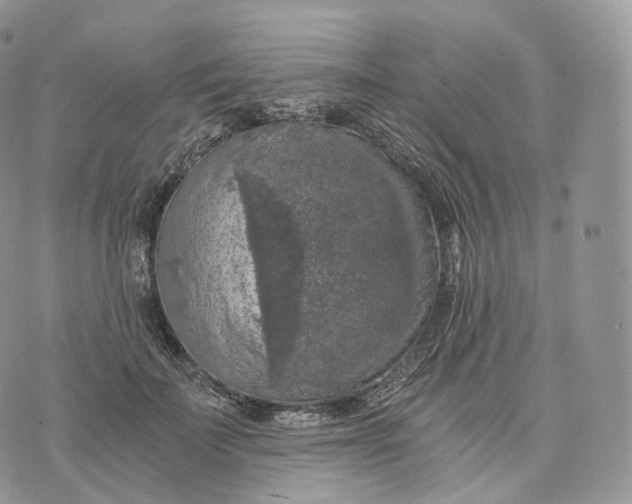 X0000072960699200608111651