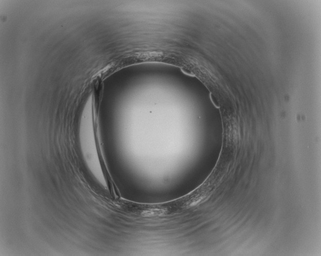 X0000072960700200608111651