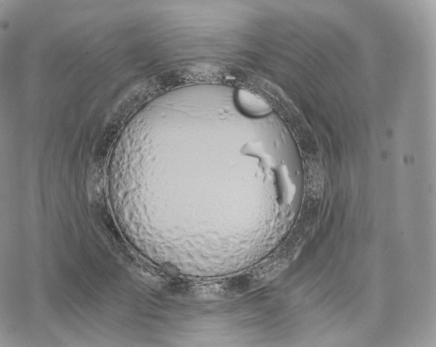 X0000072960701200608111651