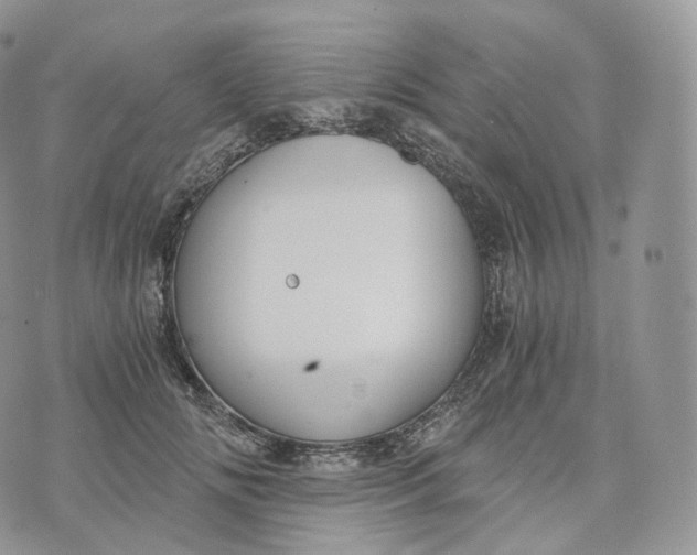 X0000072960702200608111651