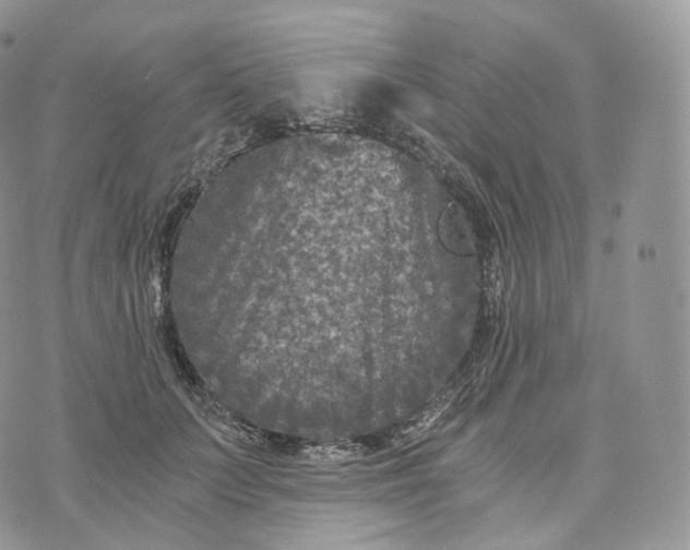 X0000072960703200608111651