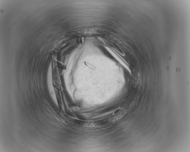 X0000072960704200608111651