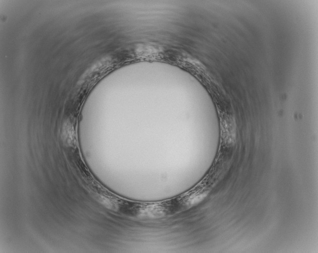 X0000072960705200608111651