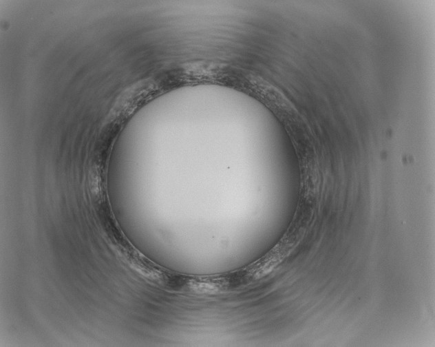 X0000072960706200608111651