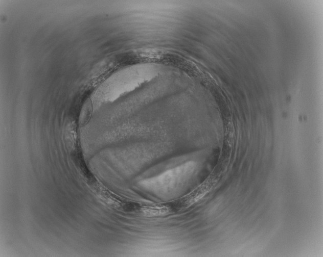 X0000072960707200608111651