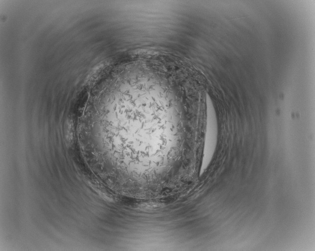 X0000072960708200608111651