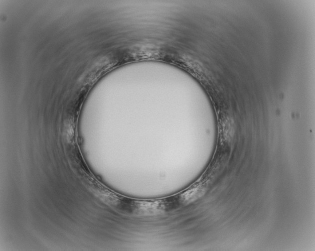 X0000072960709200608111651