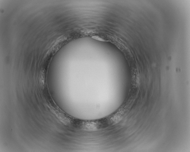 X0000072960710200608111651